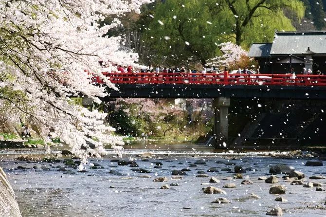 6条日本最美樱花路线，寻找被春天临幸的感觉                                                                                               日本