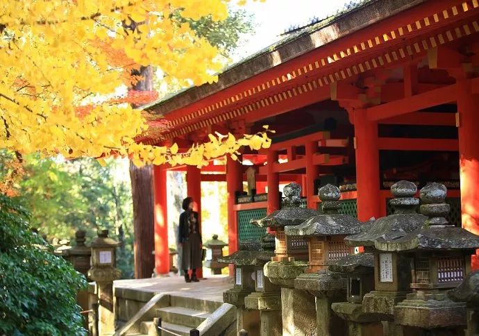 红了：10-12月日本秋季赏枫攻略！                                                                                               日本