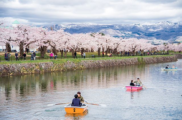 日本旅游攻略：谁说樱花不等人，北海道的樱花可以等你到五月！                                                                                               日本