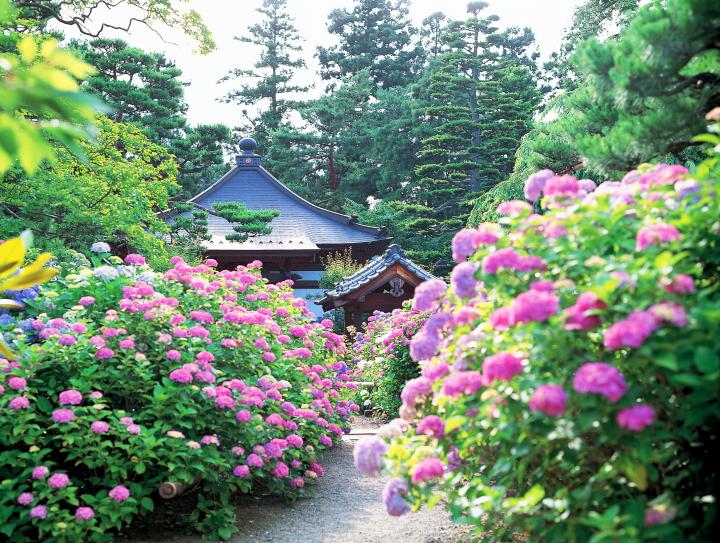 什么时候去日本旅游最好？日本最佳旅游时间是几月？                                                                                               日本
