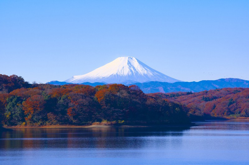 什么时候去日本旅游最好？日本最佳旅游时间是几月？                                                                                               日本