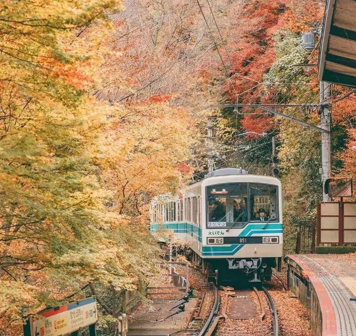 红了：10-12月日本秋季赏枫攻略！                                                                                               日本