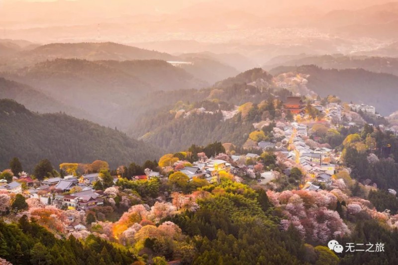 日本旅游攻略：为什么追我？！                                                                                               日本