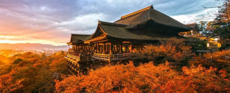 日本枫叶旅游线路：这样的赏枫之旅，只适合2个人！                                                                                               日本