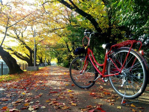 日本枫叶旅游线路：这样的赏枫之旅，只适合2个人！                                                                                               日本