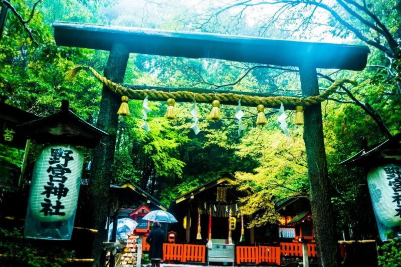日本枫叶旅游线路：这样的赏枫之旅，只适合2个人！                                                                                               日本