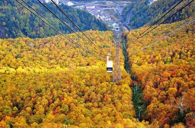 国庆出国旅游首选去日本北海道赏枫攻略                                                                                               日本