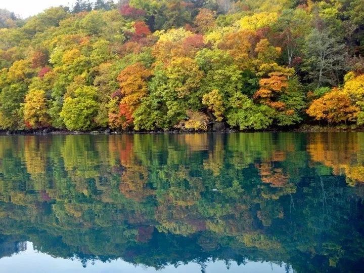 国庆出国旅游首选去日本北海道赏枫攻略                                                                                               日本