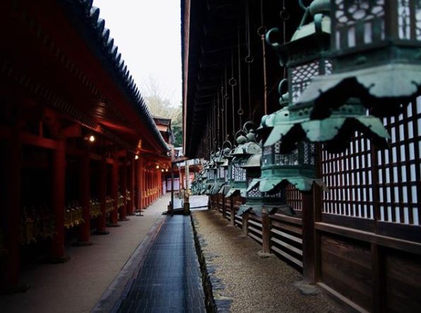 京都大阪自由行怎么玩出高级感？小众私藏新玩法解锁一下                                                                                               日本