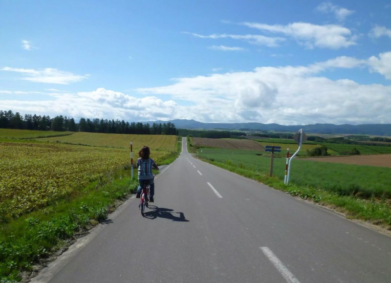 7天包车玩转夏日七彩北海道路线攻略                                                                                                                                  日本