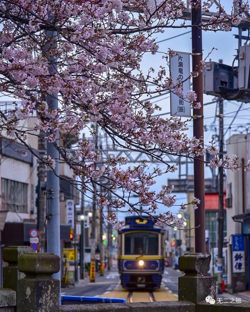 日本旅游：镰仓永远是夏天，每个人都在恋爱                                                                                               日本