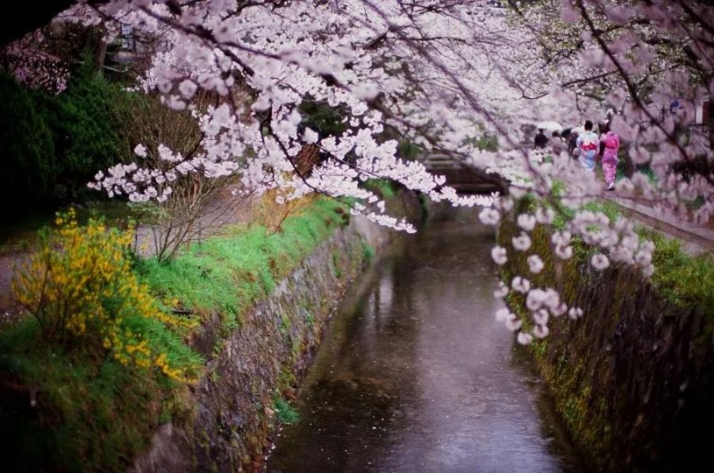 价低人少风景好的二、三月，最适合去哪里旅行？                                                                                               日本