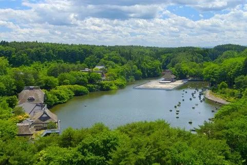 没住过星野酒店，就不算去过日本旅游                                                                                               日本