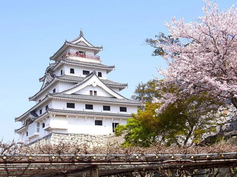2019日本樱花季：去九州赏早樱、泡温泉、吃美食！                                                                                               日本