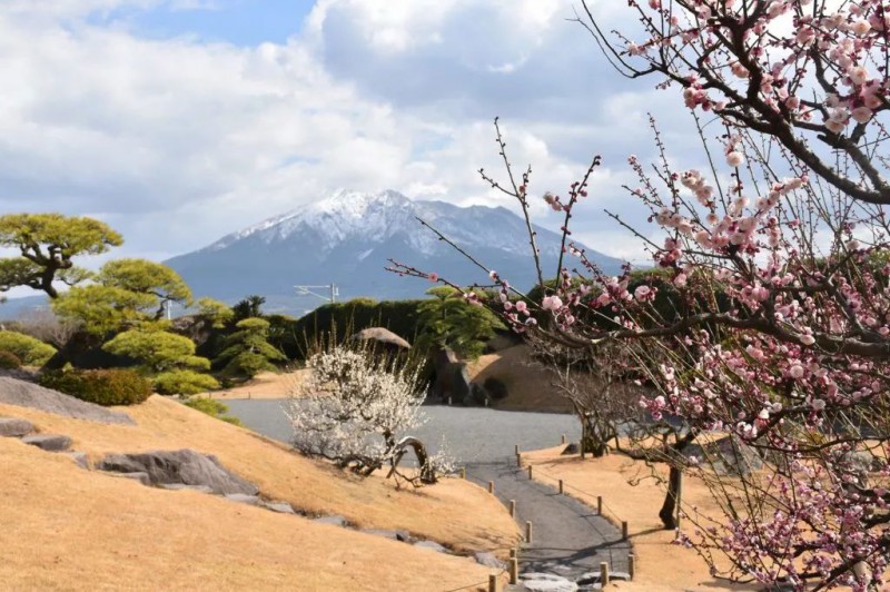 2019日本樱花季：去九州赏早樱、泡温泉、吃美食！                                                                                               日本