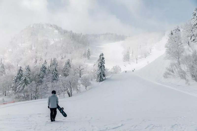 春节旅游攻略：7个最佳春节旅行目的地，7种不同的过年姿势！                                                                                               日本