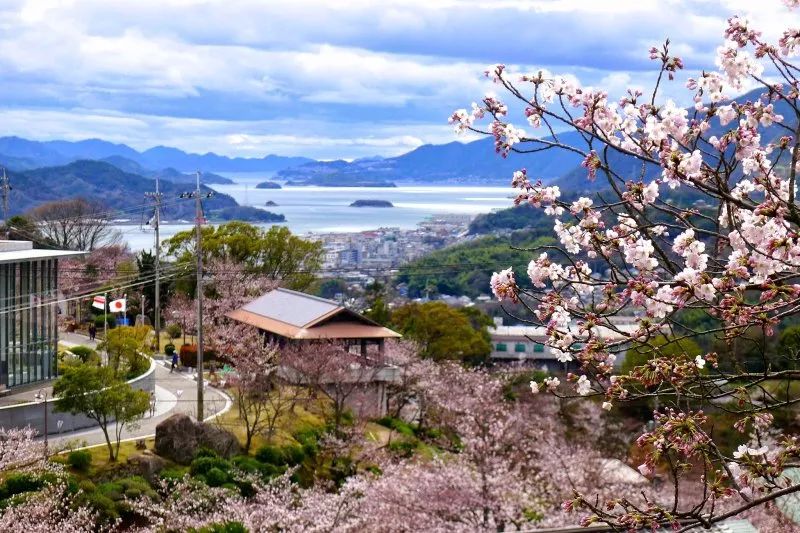 6条日本最美樱花路线，寻找被春天临幸的感觉                                                                                               日本