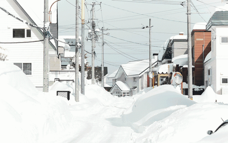 北海道自由行路线：解锁北海道所有的甜蜜                                                                                               日本