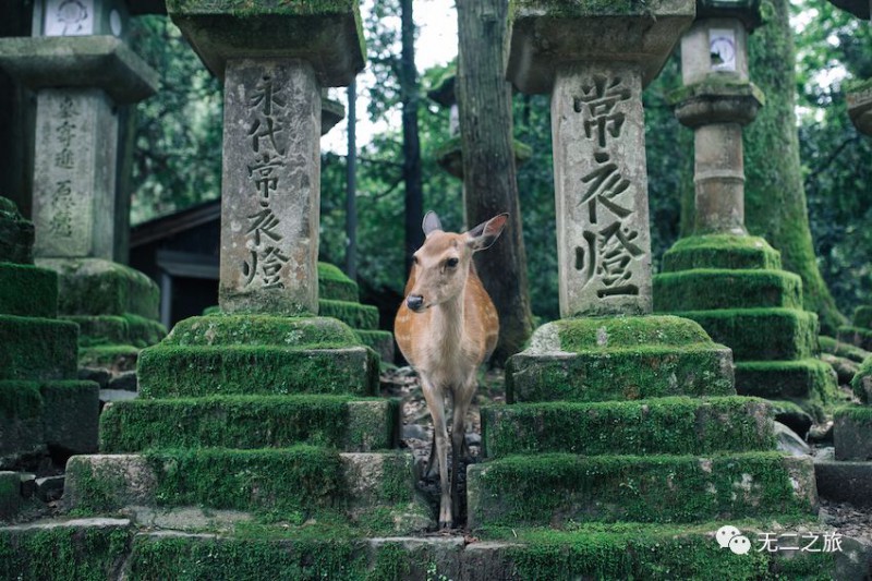 日本旅游攻略：为什么追我？！                                                                                               日本