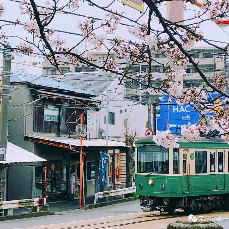 日本旅游：镰仓永远是夏天，每个人都在恋爱                                                                                               日本