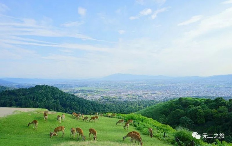 日本旅游攻略：为什么追我？！                                                                                               日本