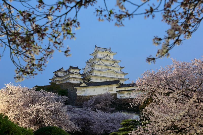 日本的樱花什么时候开？2019日本樱花开放时间介绍                                                                                               日本