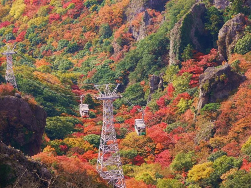 红了：10-12月日本秋季赏枫攻略！                                                                                               日本