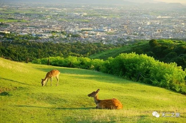 日本旅游攻略：为什么追我？！                                                                                               日本