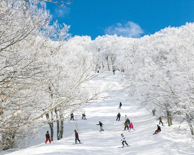 日本滑雪圣地盘点：离家近，摔不疼！                                                                                               日本