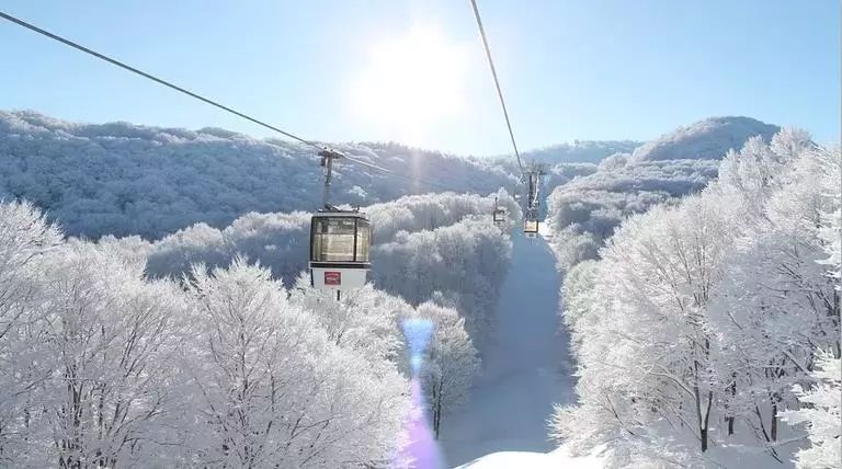 日本小众旅行攻略：私藏级的长野，冬天一点也不输北海道！                                                                                               日本