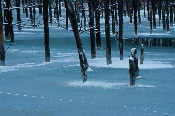 下雪的时候，炸鸡啤酒都不如北海道！                                                                                               日本