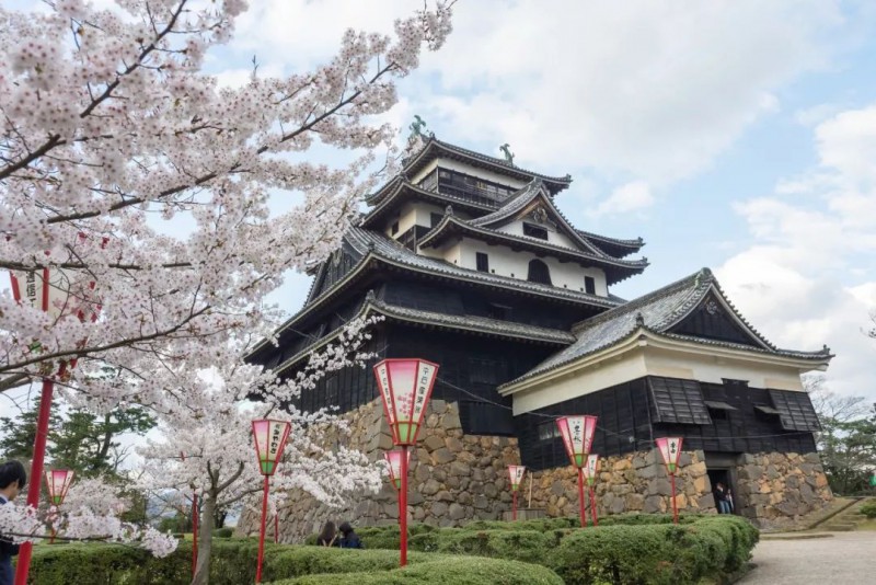 6条日本最美樱花路线，寻找被春天临幸的感觉                                                                                               日本