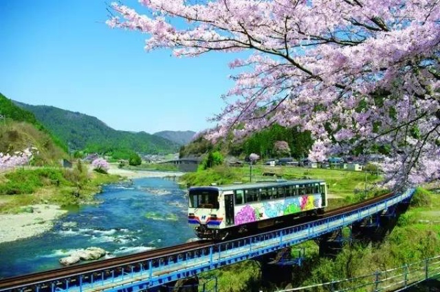 日本最全赏樱花攻略，再也不怕错过日本樱花季！                                                                                               日本