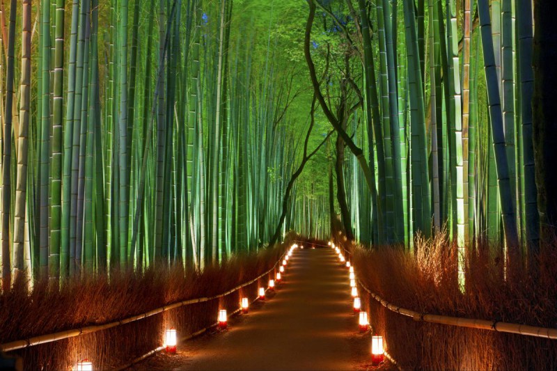 【日本必去】在日本京都必体验的5件事                                                                                               日本