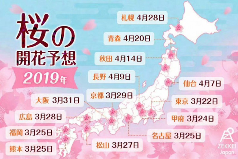 日本的樱花什么时候开？2019日本樱花开放时间介绍                                                                                               日本