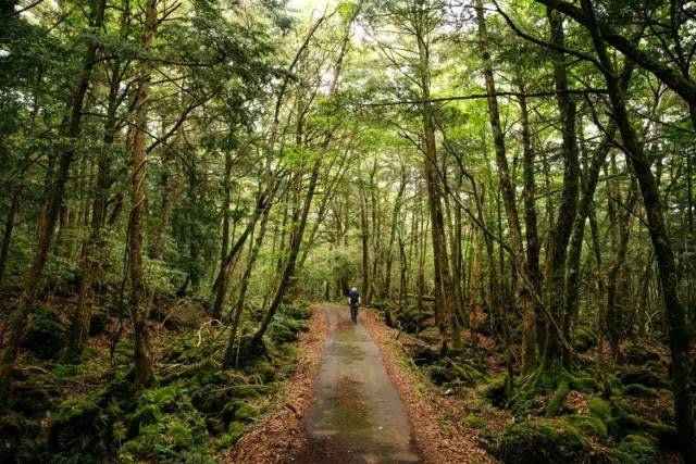 最全东京富士山旅游攻略                                                                                               日本