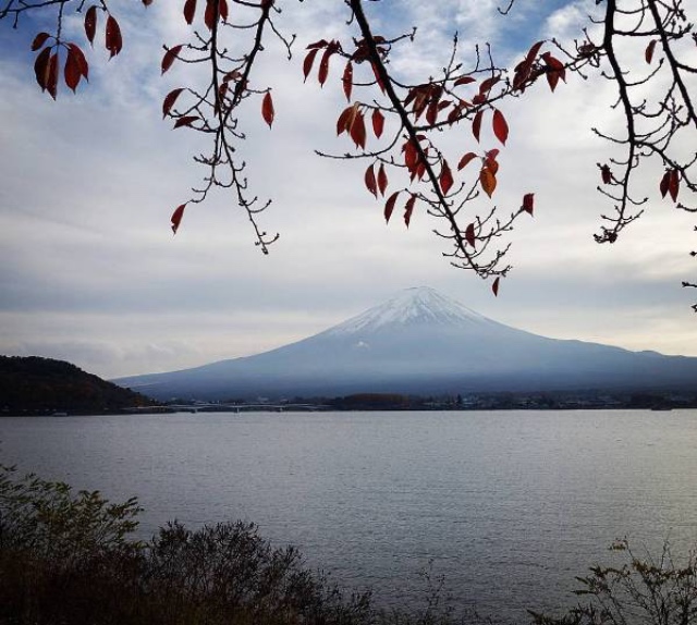 最全东京富士山旅游攻略                                                                                               日本