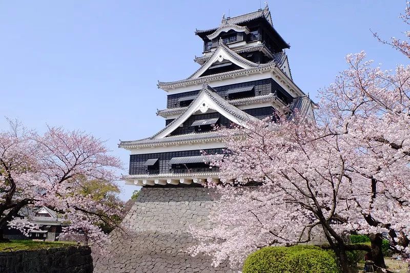 2019日本樱花季：去九州赏早樱、泡温泉、吃美食！                                                                                               日本