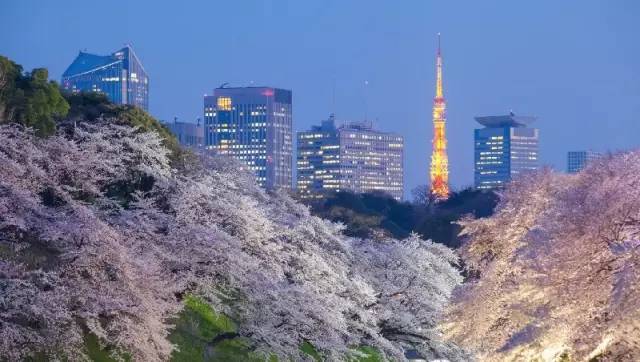 价低人少风景好的二、三月，最适合去哪里旅行？                                                                                               日本