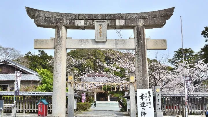 2019日本樱花季：去九州赏早樱、泡温泉、吃美食！                                                                                               日本