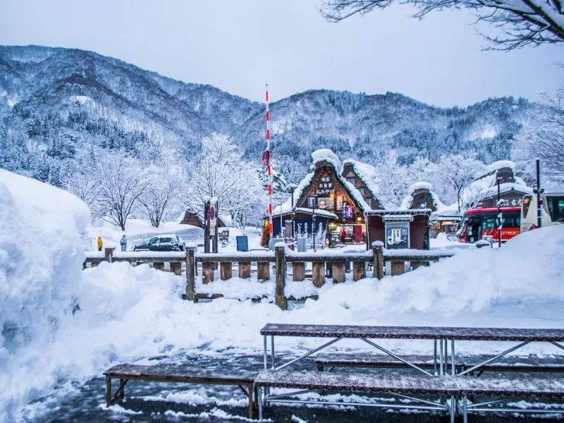 日本中部旅游攻略：雪大却不冷？冬天这里最好玩！                                                                                               日本