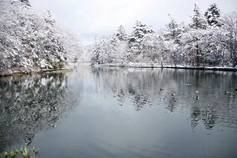 日本小众旅行攻略：私藏级的长野，冬天一点也不输北海道！                                                                                               日本