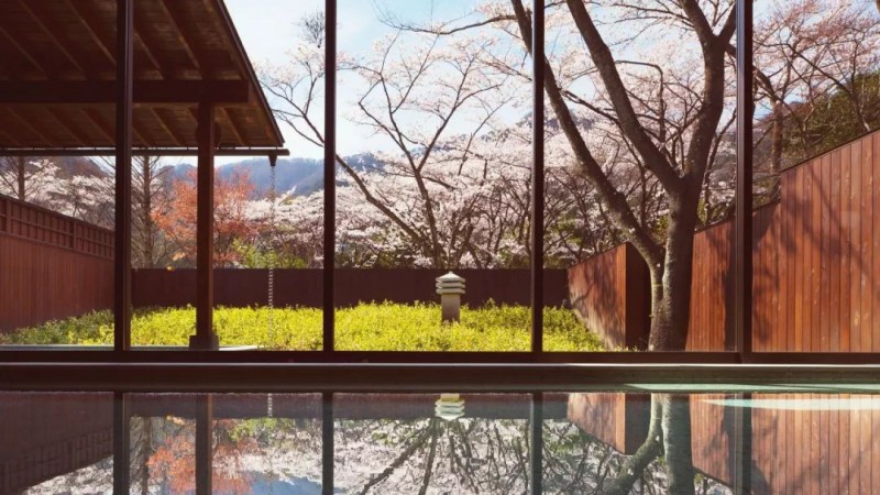 日本樱花攻略：清明小长假去这里，人少樱美，距离还近！                                                                                               日本