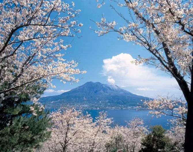 2019日本樱花季：去九州赏早樱、泡温泉、吃美食！                                                                                               日本