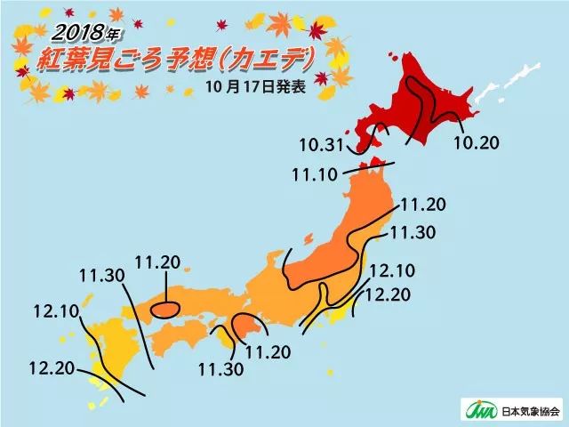 红了：10-12月日本秋季赏枫攻略！                                                                                               日本