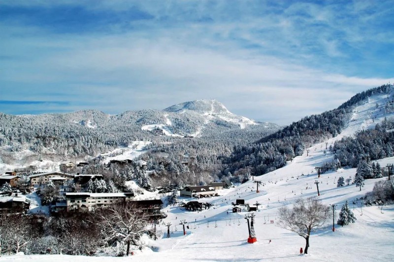 日本小众旅行攻略：私藏级的长野，冬天一点也不输北海道！                                                                                               日本