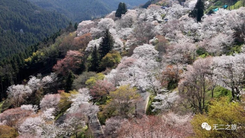 日本旅游攻略：为什么追我？！                                                                                               日本