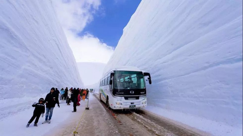 日本小众旅行攻略：私藏级的长野，冬天一点也不输北海道！                                                                                               日本