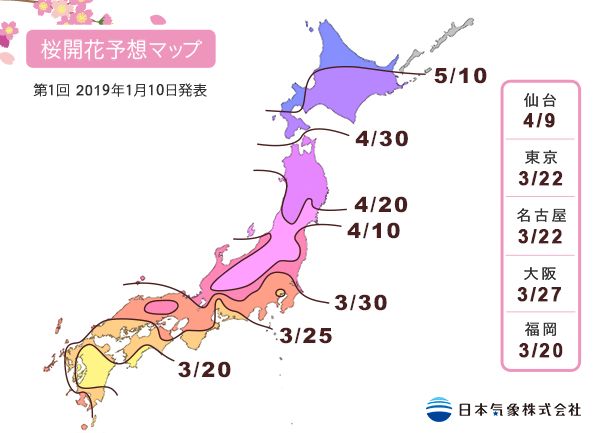 2019日本最全赏樱花攻略：跟着官方预测看遍每片樱花！                                                                                               日本