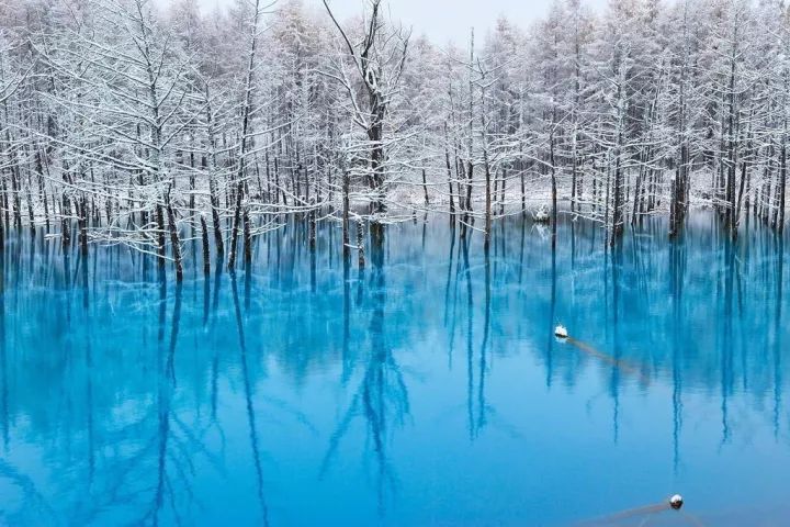 下雪的时候，炸鸡啤酒都不如北海道！                                                                                               日本